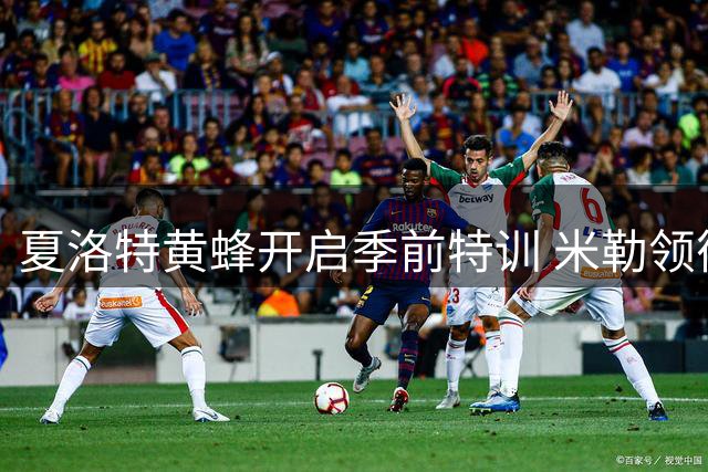 夏洛特黄蜂开启季前特训 米勒领衔众将挥汗如雨备战新赛季