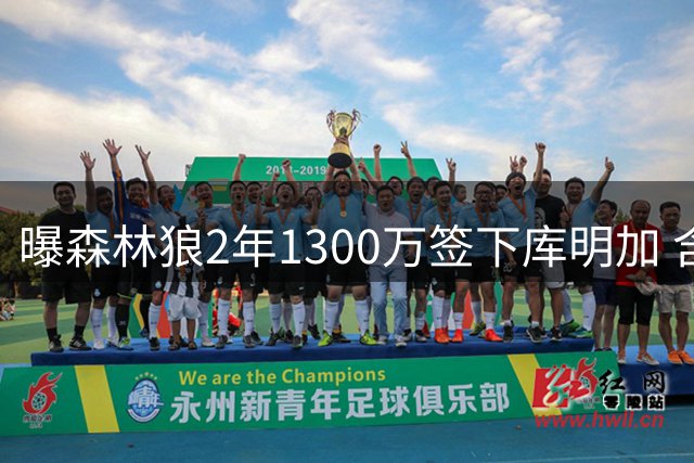 曝森林狼2年1300万签下库明加 含球员选项